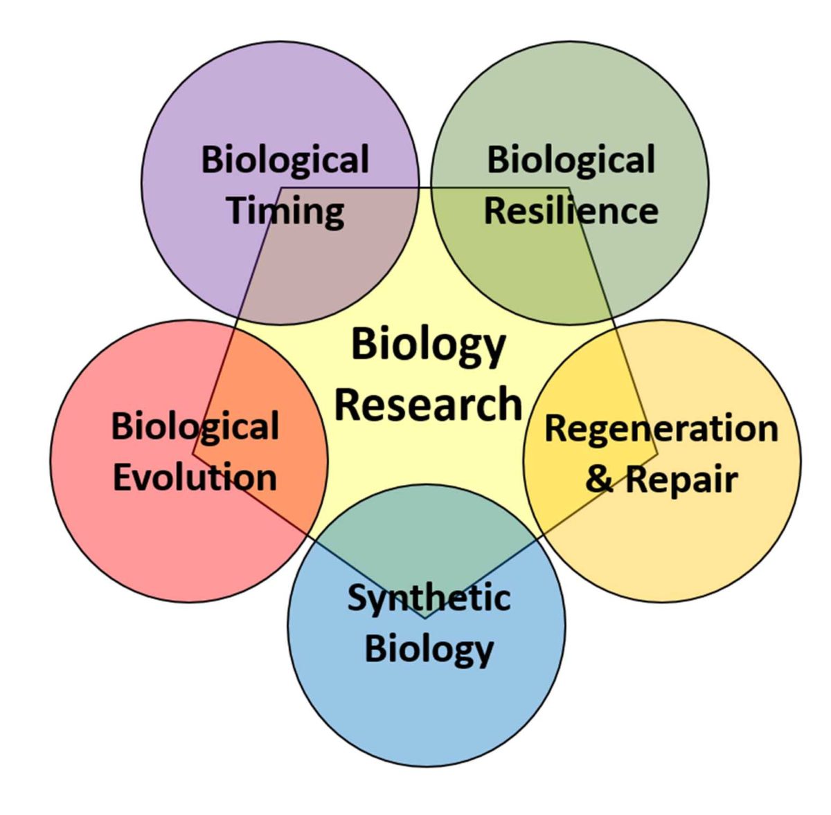 Strategic Plan - Texas A&M Biology