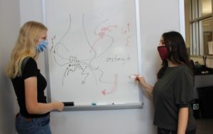 bella farhy and student at whiteboard