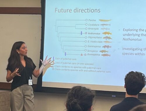 Undergraduate Isa Mendoza Presents at GCURS