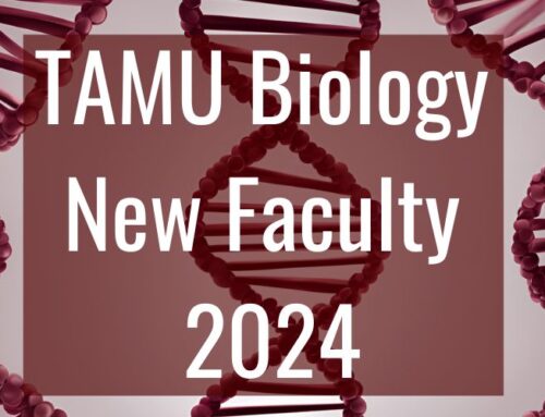 TAMU Biology New Faculty 2024