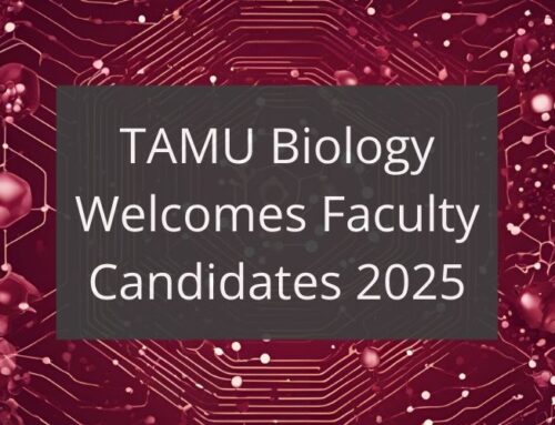 TAMU Biology Invites Faculty Candidates for 2025 Recruitment