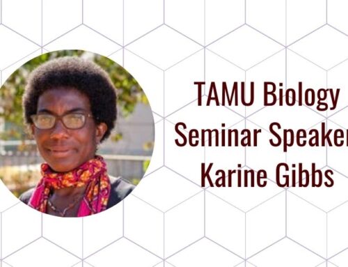 Seminar Series: Karine Gibbs