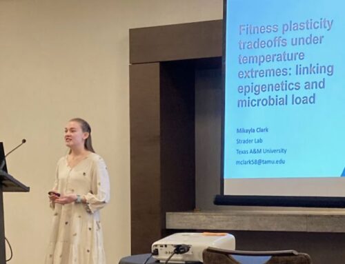 Strader Lab Presents at SICB