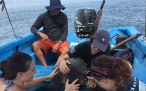 people in boat with sea turtle