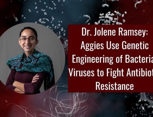 Aggies Use Genetic Engineering of Bacterial Viruses to Fight Antibiotic Resistance