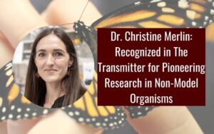 Dr Christine Merlin: Recognized in The Transmitter for Pioneering Research in Non-Model Organisms