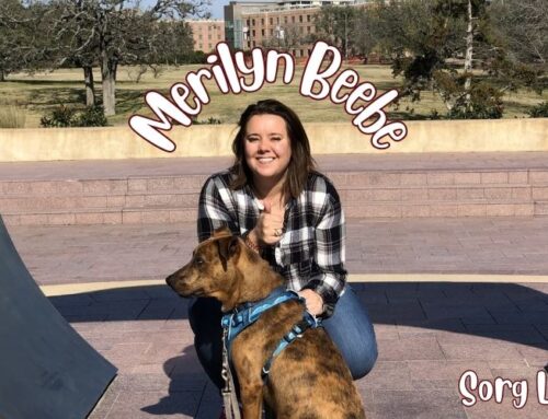 Graduate Student Spotlight: Merilyn Beebe